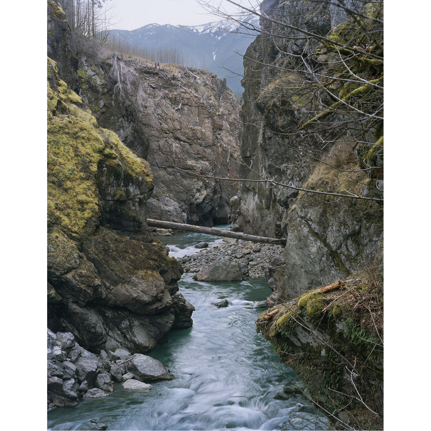 "Glines Canyon, Upper Elwha River, Washington"