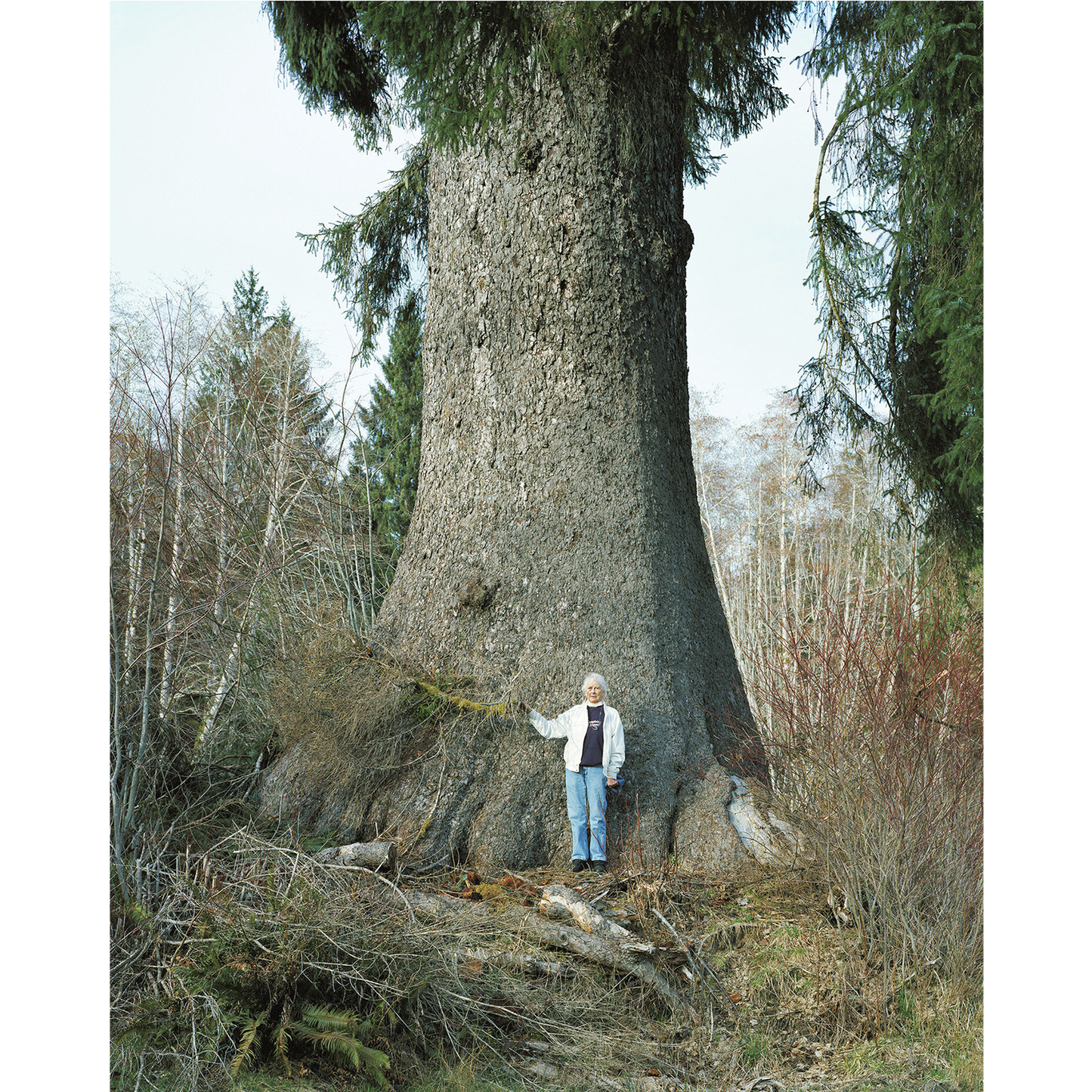 "Missy beneath her 600 year-old Spruce,  Hoh River, Washington"