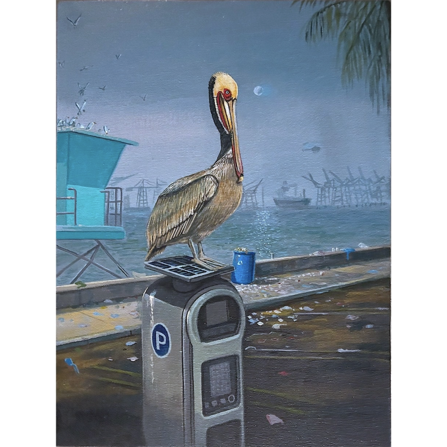 "California Brown Pelican"