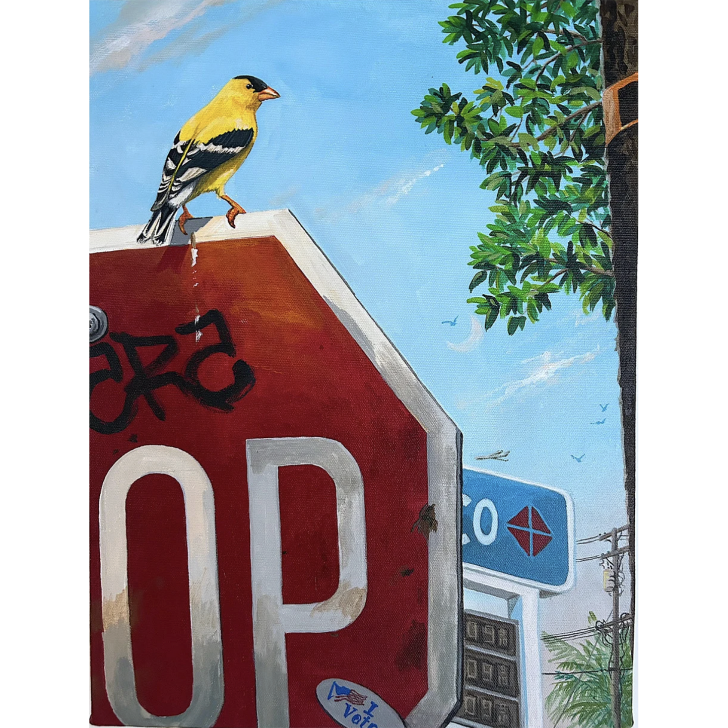 "American Goldfinch"