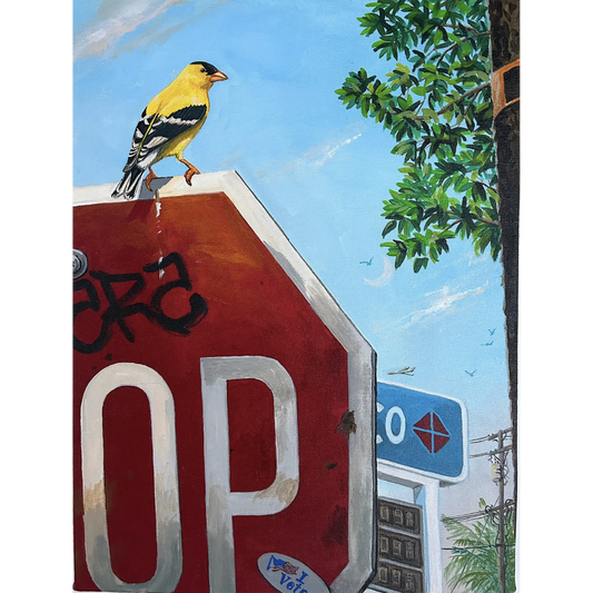 "American Goldfinch"