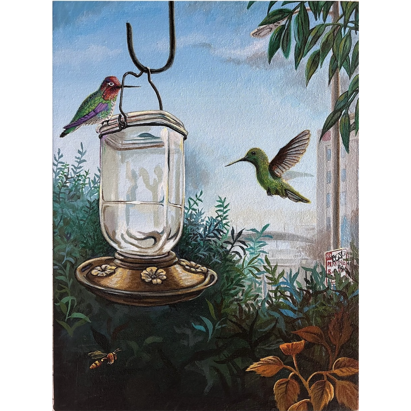 "Anna’s Hummingbird"
