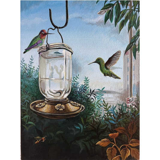 "Anna’s Hummingbird"