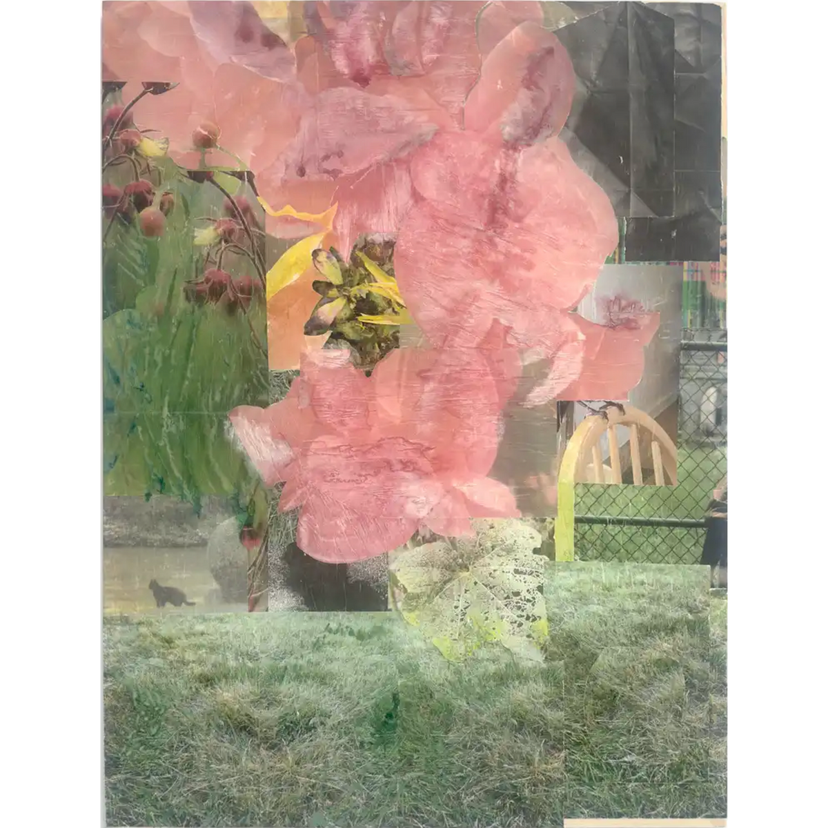 "Flower Boy"