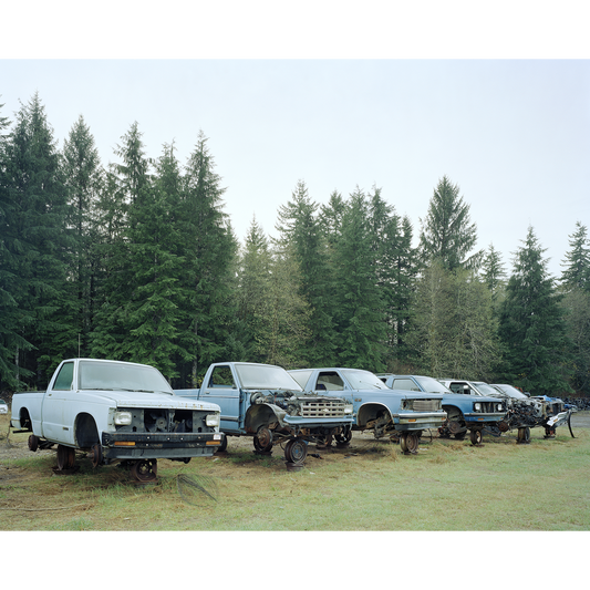 "Junked Blue Trucks, Forks, Washington"
