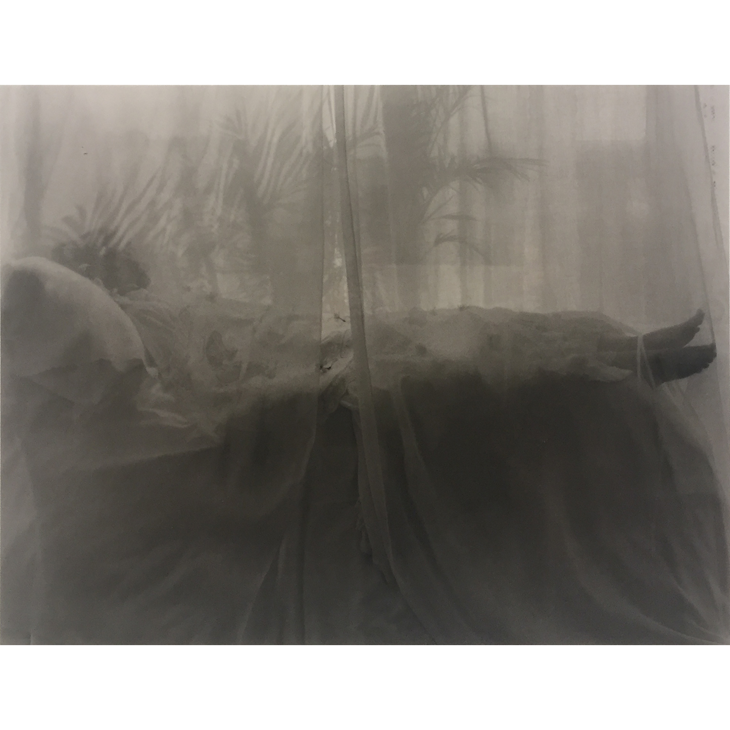 Untitled (model behind drape)
