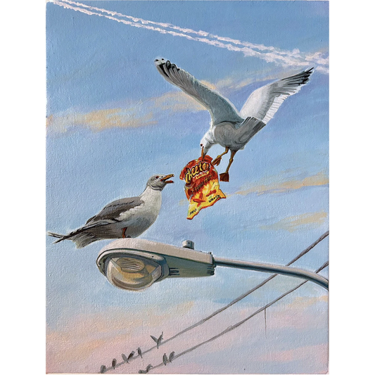 "California Gull"