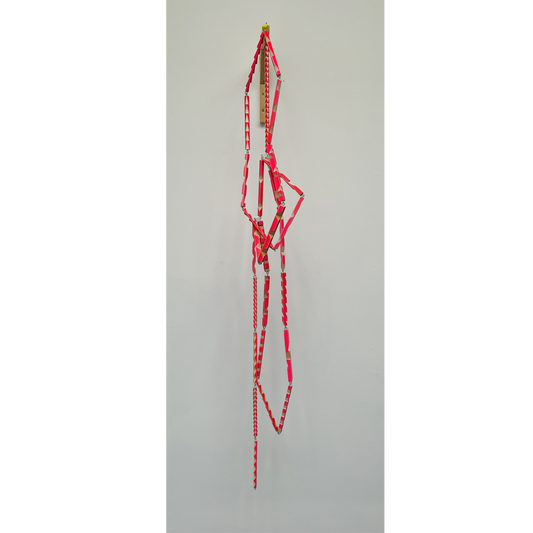 Taking a Line for a Walk (after Paul Klee)