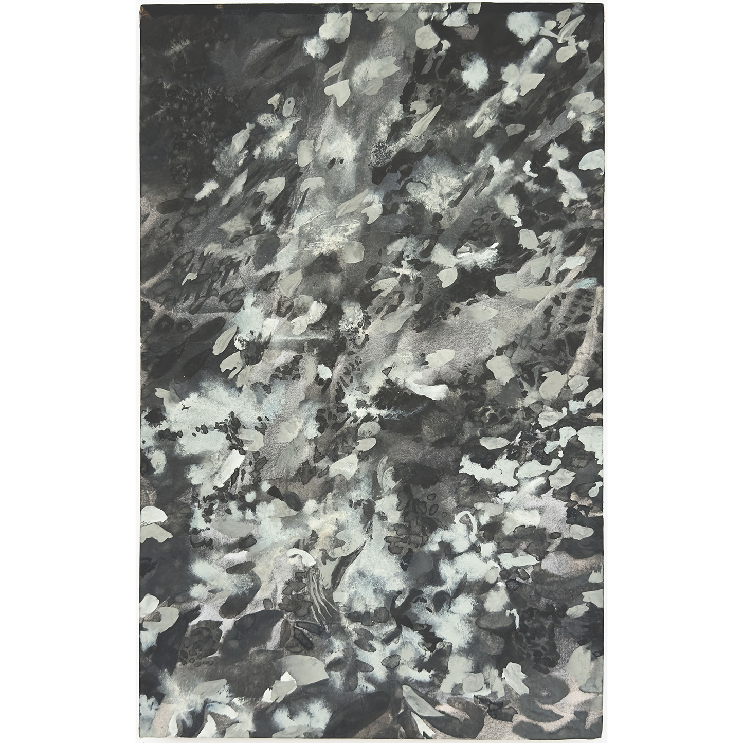 Tim Cross, "Tree for the Forest"