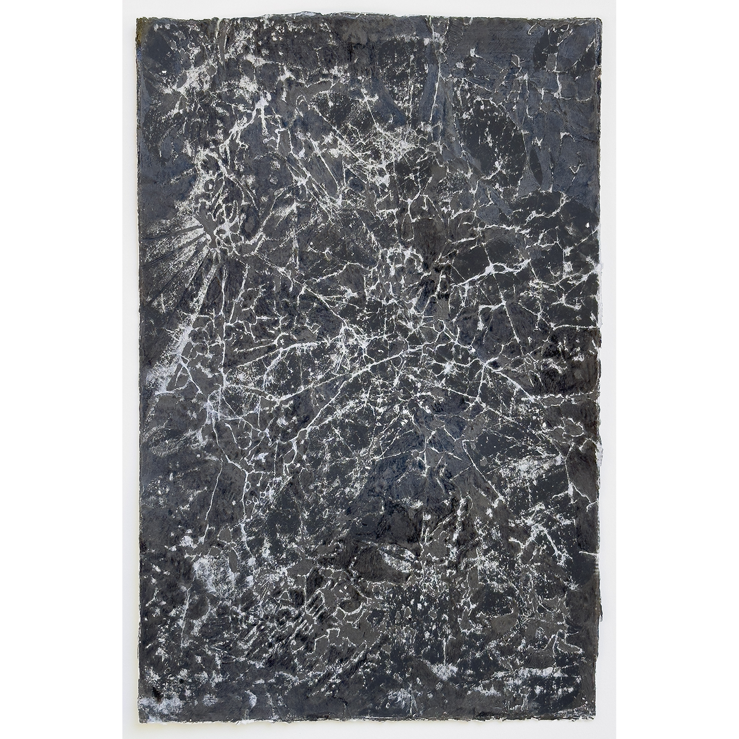 "Black Forest Thicket"