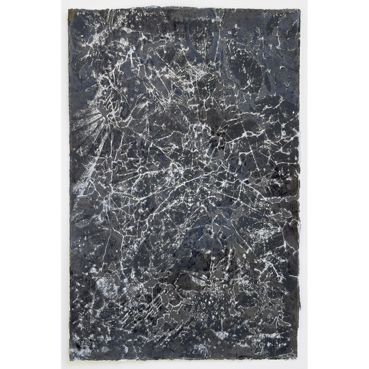 "Black Forest Thicket"