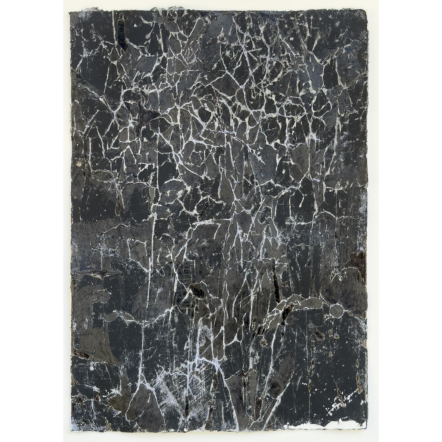 "Black Tree 2"