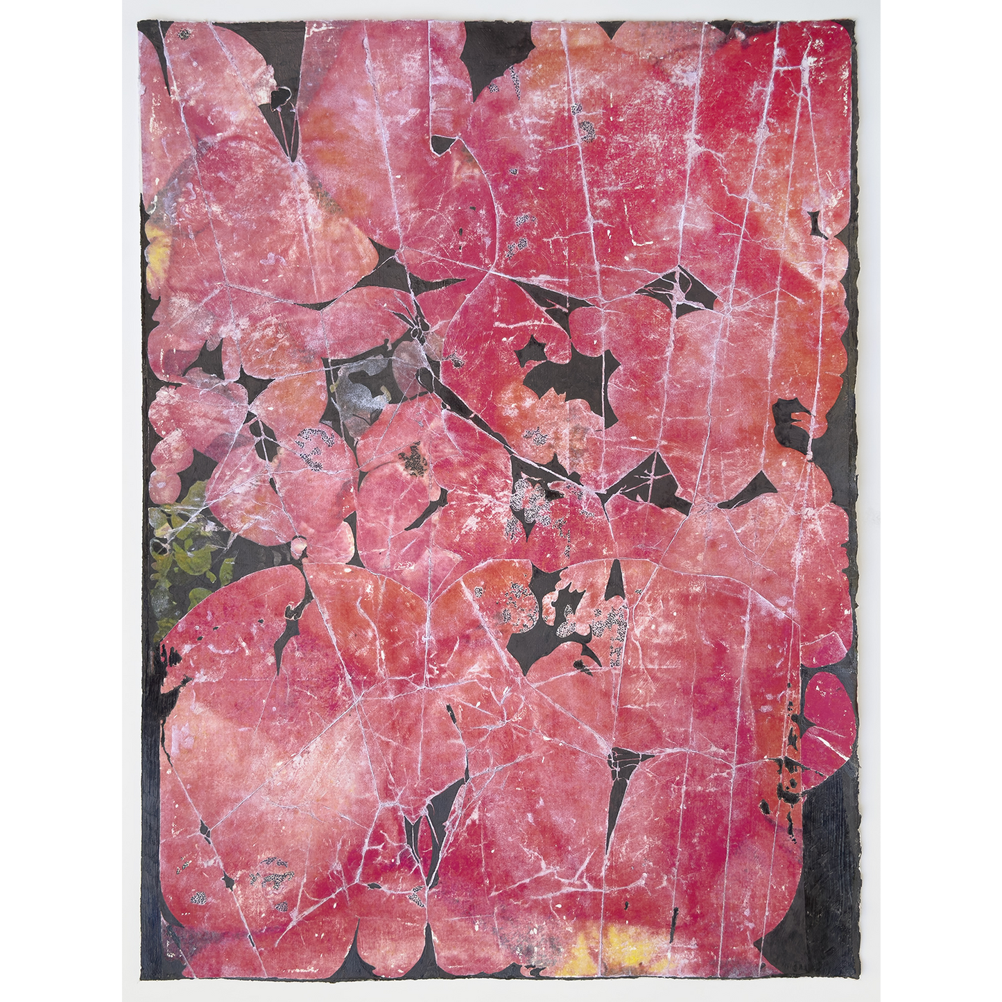 "Blossoms"