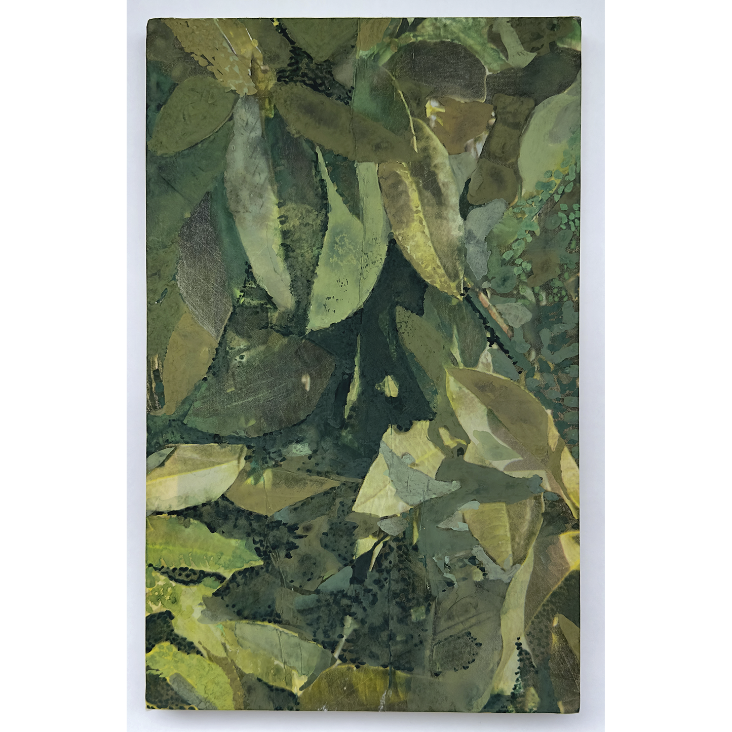 "New Laurel 2"