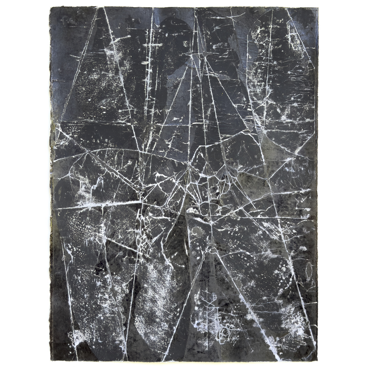 "Night Thicket"